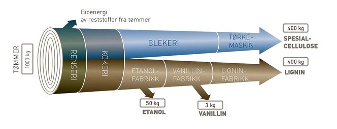 Skisse over produksjonen hos Borregaard viser antall kg tømmer inn og antall kg produkter ut på den andre siden.