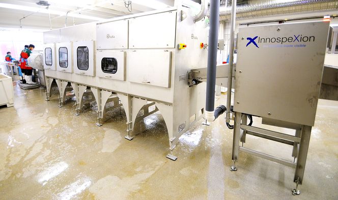 Filetroboten fra Valka skanner fiskestykket og skjærer deretter ut sidebeinene og kutter porsjonene i korrekt vekt med vannjet. Maskinen i Gryllefjord er den eneste av sitt slag i Norge. Den neste kommer tidlig i 2016, montert om bord i et fartøy eid av Ramoen AS.