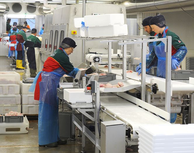 Foreløpig skjer sorteringen fra kutteroboten manuelt, men også dette trinnet kan automatiseres.