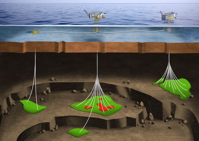 Kan velge: OED åpner for at partnerskapene på Utsirahøyden selv kan velge om de vil ha strøm fra land eller ikke. Her er Edvard Grieg og Ivar Aasen.