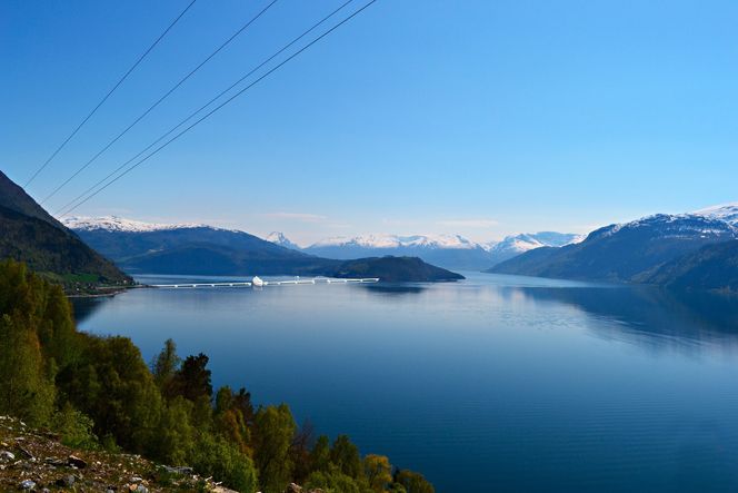 LMG Marin mener bruløsningene vil fungere godt langs E39.