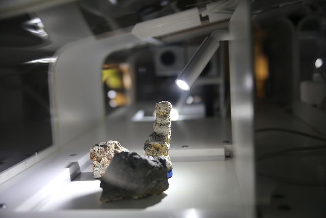 Mineraler: Den største delen av dyphavsområdene forvaltes av FN, men både Kina, Japan, India og Frankrike er blant nasjonene som er interessert i å utvinne mineralforekomster fra dyphavsforekomsten.