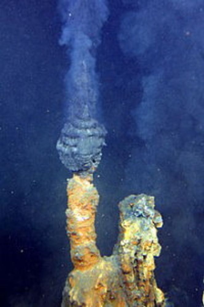 Black smokers: Langs de undersjøiske ryggene hvor kontinentalplatene møtes, dannes black smokers. Foto: Oceanic and Atmospheric Administration