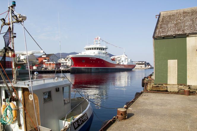 Utstyr: Havyard har en egen divisjon som utvikler utstyr og systemer for hånbdtering av fisk om bord i fartøy. Her ligger Stormy klar til dåp i april.