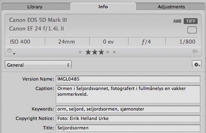 Metadata: Et godt bildeprogram lar deg se kamerainnstillingene, og redigere søkbare bildetekster som hjelper deg å finne tilbake til bildene senere.