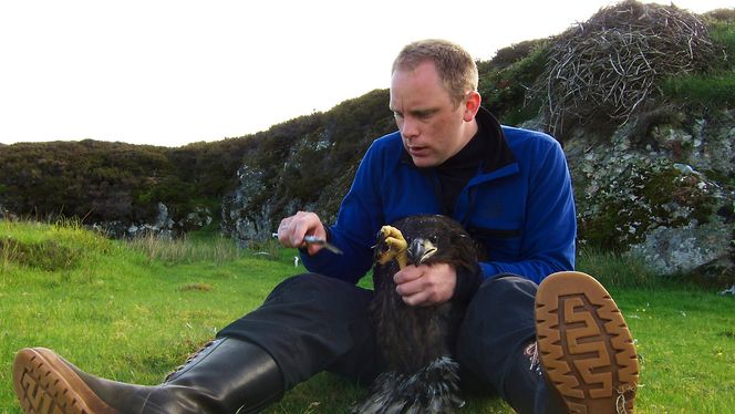 Fascinert: Fugleforsker Espen Lie Dahl ved Nina har vært fascinert av fugleskapningene hele livet, men forsøker likevel å minimere forstyrrelsen.