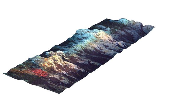 Undervannshyperspektralt (UHI) kart av Tautrarevet i Trondheimsfjorden hvor UHI var montert på fjernstyrt undervannsrobot (ROV) for kartlegging av korallrevet. Bildet viser steinkoraller (hvite og orange) og sjøtre (rødt) på Tautrarevet på 100 meters dyp i stummende mørke.Kilde: Ecotone (c)