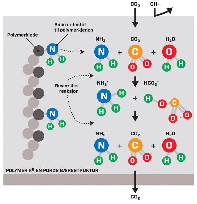 ØKT LØSELIGHET: Figuren illustrerer hvordan økt løselighet av CO2 i membranen kan oppnås. Her reagerer CO2 fra høytrykkssiden med amingruppene på polymeren og fraktes gjennom membranet med trykkfall.