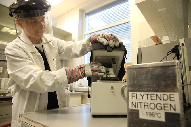 Frysemølle: Forskerne bruker ulike metoder for å få kornene av jernlegeringer ned på nanonivå. I denne frysemøllen bruker de flytende nitrogen og tromler kornene under lav temperatur.