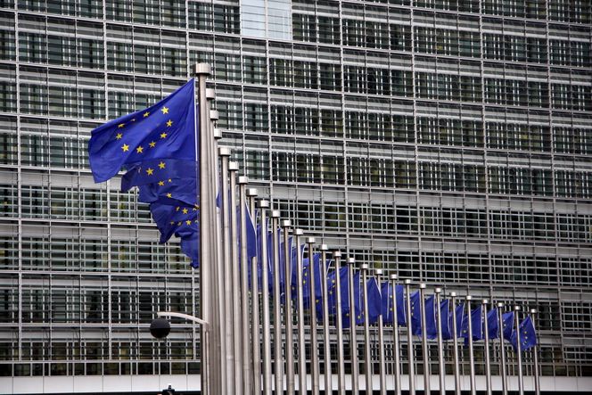 – Regjeringen vil legge en nasjonal FoU-strategi for norsk samarbeid med EU neste år, der spørsmål knyttet til norsk deltakelse i Horisont 2020 vil stå sentralt, statssekretær i Nærings- og Handelsdepartementet, Dilek Ayhan.