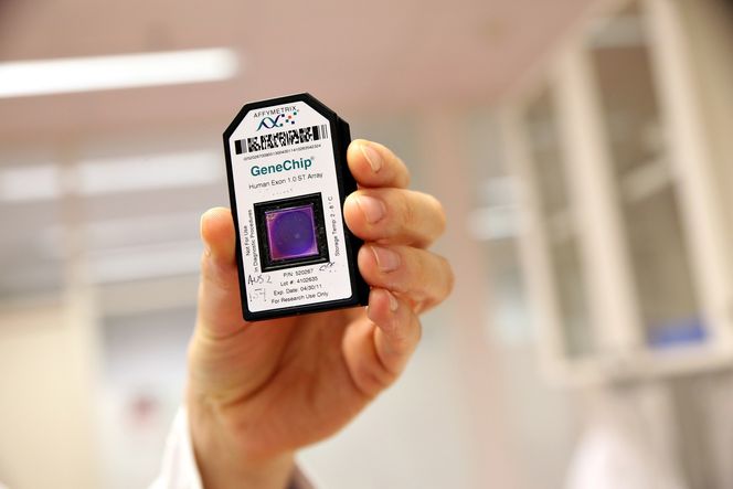 Analysebrikke: Et kort med en biologisk multisensor for alle kroppens gener benyttes til analyse av pasientprøvene. Ved å analysere resultatene fra slike tester, og bruke dem sammen med det rette prøvematerialet og data fra kreftprøver, kan forskerne finne diagnostiske og prognostiske biomarkører.
