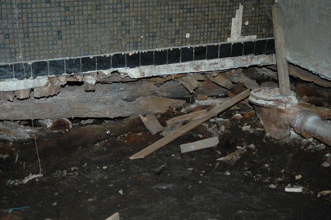 Råteskader er ofte kostbare å utbedre og vanskelige å finne. Med den nye boligsalgsrapporten skal takstmannen gå grundigere inn i byggene, også med destruktive tester.