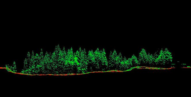 Punktskymodell basert på laserskanning fra fly.