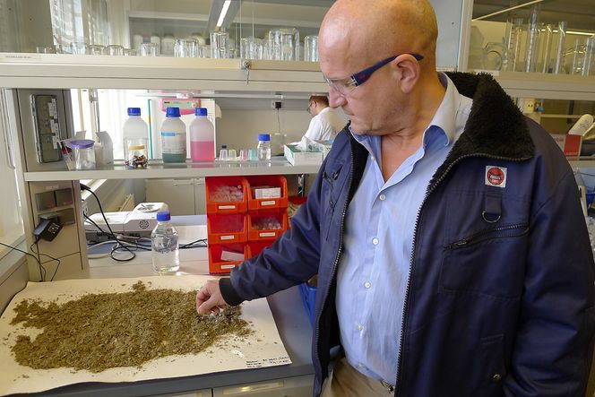 RÅSTOFF: Konserndirektør Gisle Løhre Johansen, ansvarlig for  forretningsutvikling og FoU i Borregaard med råstoff som kan omdannes til biodrivstoff. Foto: Jannicke Nilsen