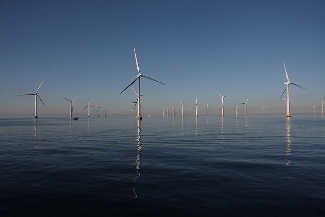 Forskere har tatt for seg den lille svenske havvindparken Lillgrund fra 2007 for å se hvordan totalytelsen kunne blitt bedre. Parken ble bygget av Vattenfall. Foto: Kjetil Malkenes Hovland