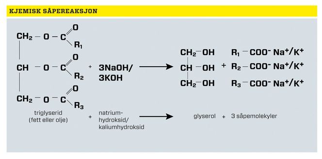  Bilde: Heidi Bredesen