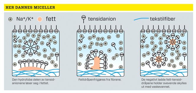  Bilde: Heidi Bredesen
