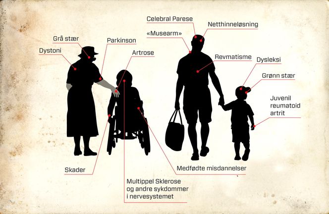 I målgruppen: Titusenvis av arbeidssøkende funksjonshemmede er potensielle brukere av talegjenkjenning på norsk. Potensielle brukere finnes innenfor grupper med sykdommer i nervesystemet, i øyet, muskel- og skjelettsystemet, bindevevet, medfødte misdannelser, skader og personer med lese- og skrivevansker.