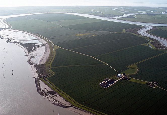 GODT EKSEMPEL: Wallasea Island består i dag nærmest utelukkende av dyrket mark. Om noen år skal det bli et av Europas største våtlands-naturreservater - blant annet ved hjelp av 4,5 millioner tonn overskuddsmasser fra nye jernbanetunneler i London. FOTO: Crossrail