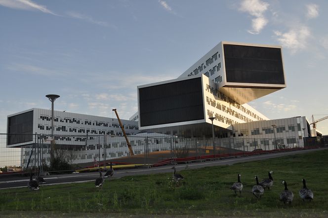 TURISTER: Canada-gjess på sightseeing ved det nye Statoil-bygget på Fornebu.