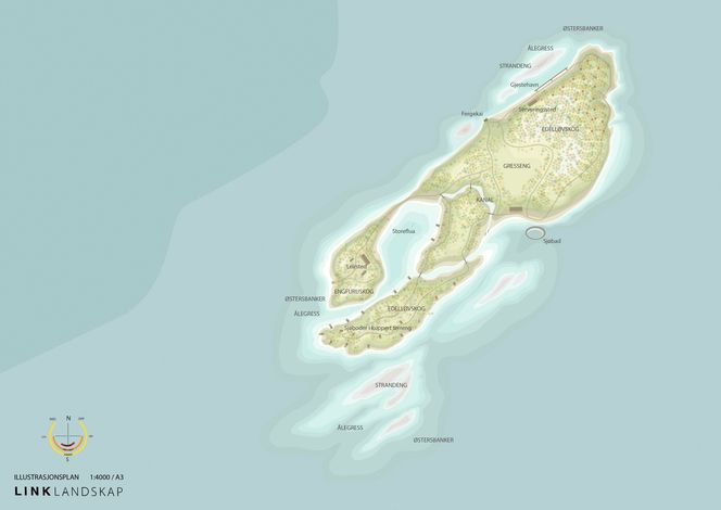 Med østersbanker og edelløvskoger vil Link Landskap sørge for at Østerøy renser vannet i Oslofjorden.