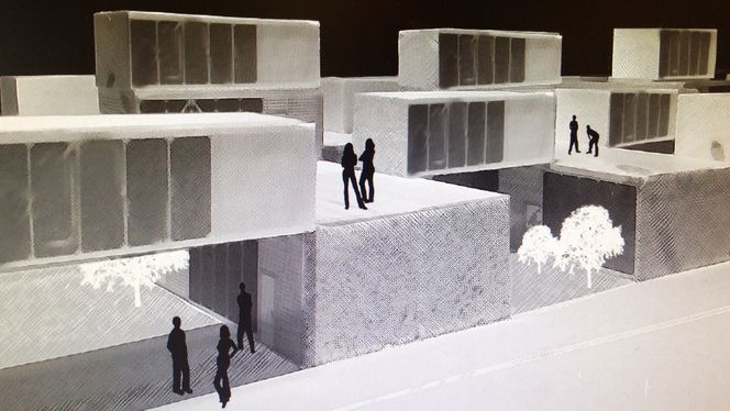 NYTENKNING: Student ved AHO, Mari L. Navarsete, viser i dette prosjektet at studentboliger ikke trenger å være trauste hybler i blokk. Modulene er på 8x4x4 på bakkeplan og 8x4x3 i andre etasje. Illustr.: Mari L. Navarsete