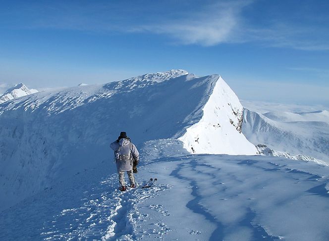  Bilde: Forsvaret / Scanpix