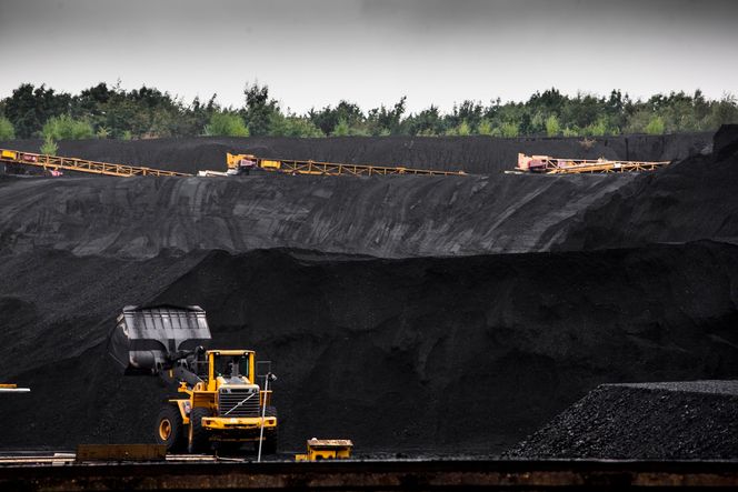 Kull: Mye av kullet som brukes i Eons kraftverk i Gelsenkirchen hentes direkte på kraftverkstomta.