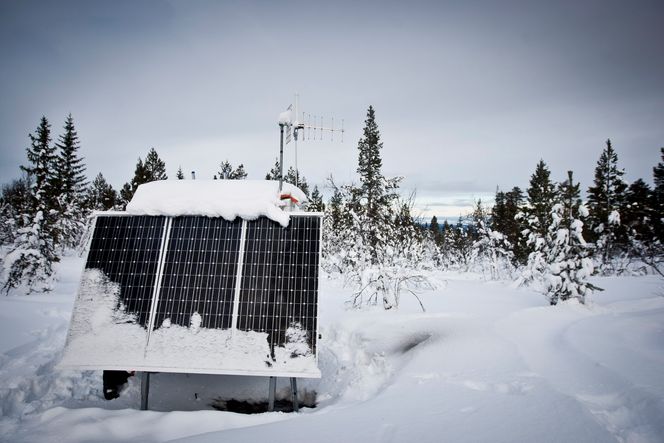 STRØM: Et solcellepanel er nok for å holde vindmålingsstasjonen i gang på sommerstid, men når vinterkulden slår inn, trengs det et dieselaggregat for å holde systemet i gang.