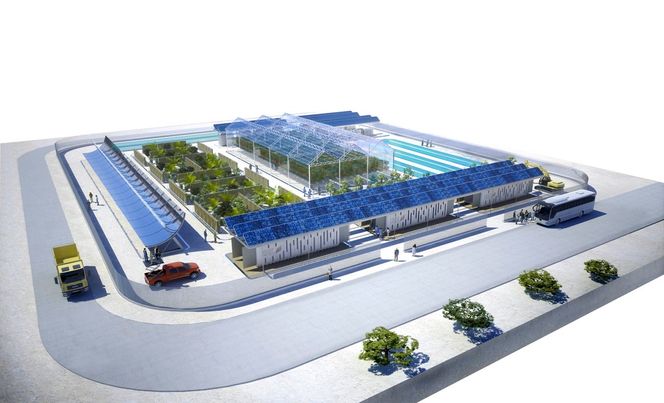 I anleggets spesielle drivhus skal saltvannet sørge for kjølige og gunstige vekstvilkår for grønnsaker.