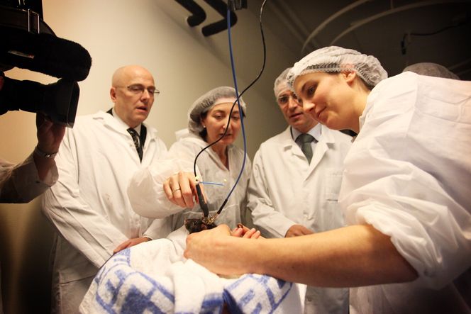 En stor del av hjernesenterets forskning skjer på rotter. Vi behandler dem som våre kjæledyr, har May-Britt Moser sagt til Teknisk Ukeblad ved en tidligere anledning.