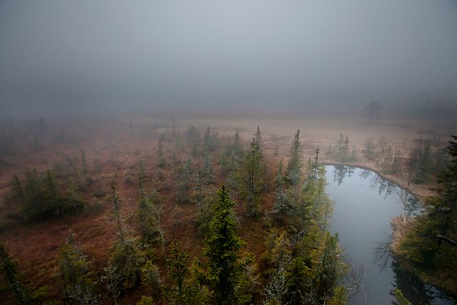 MAGISK: Utsikten fra Granhytta bringer tankene til Theodor Kittelsens verden. FOTO: Håkon Jacobsen