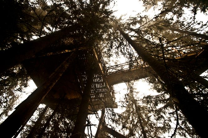 STABILT: Diagonale stokker fra bakkeplan bidrar til å stabilisere hytta. FOTO: Håkon Jacobsen