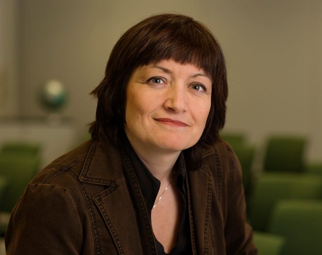 På skinner fra 2013 Kommunikasjonssjef Irene Meldal i Statnett sier at fjorårets prisforskjeller var uvanlige.