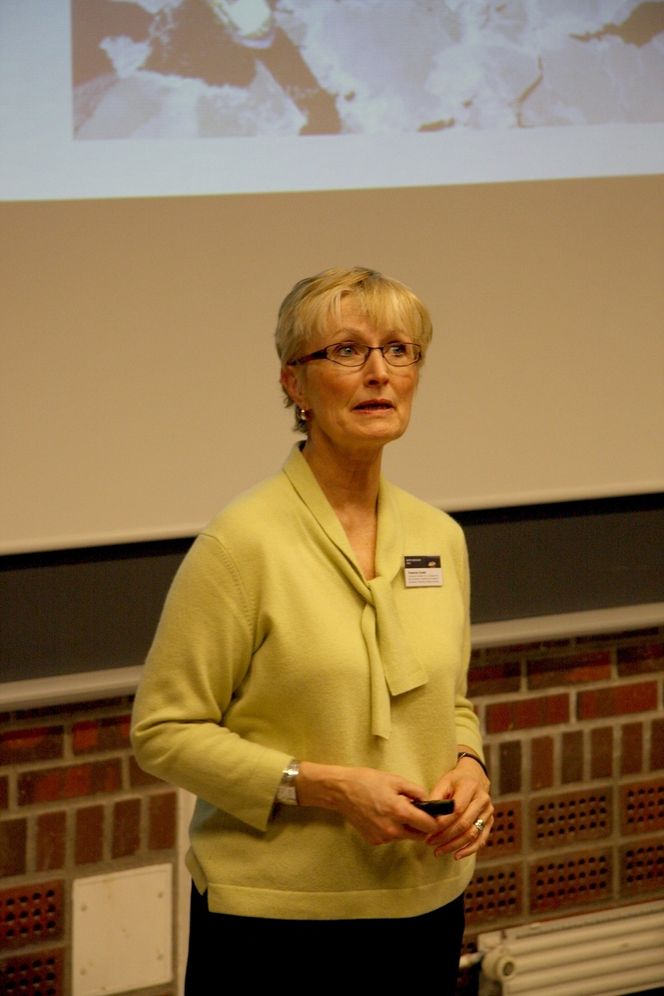 Lite utvikling FRAN ULMER: Etterlyser internasjonal borestandard i Arktis.