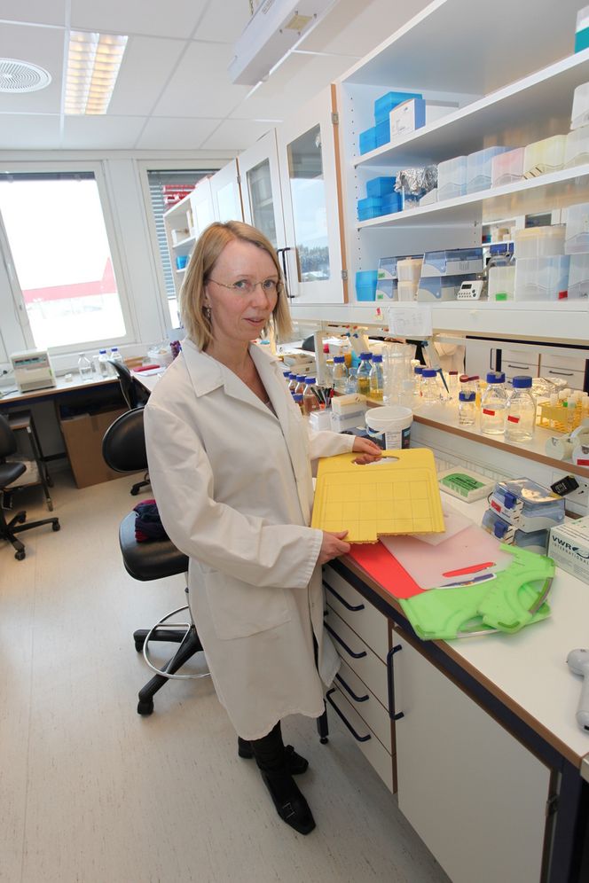 Ingen virkning NULL EFFEKT: Triklosan har en viss bakteriedrepende effekt, men blir forbudt fra 1. november.