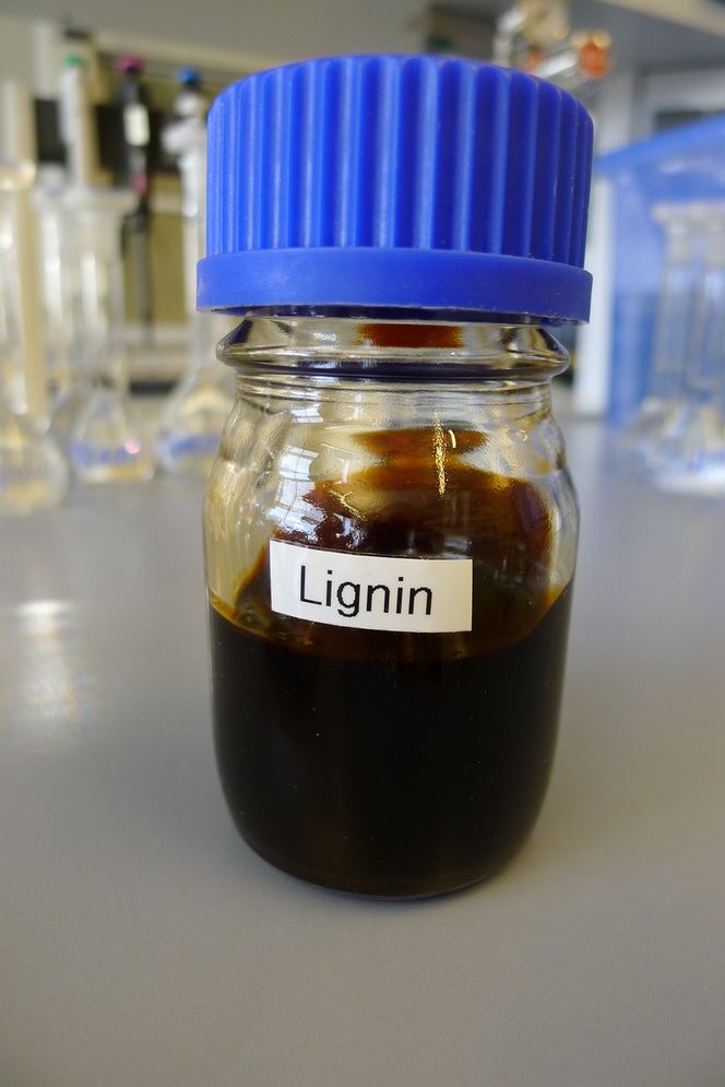 Biomasse FRA TREVIRKE: Lignin er tyktflytende masse som lukter litt som olje. Mange som produserer etanol, brenner ligninet, Borregaard bruker den i ulike produkter, som bla. sementforbedrer.