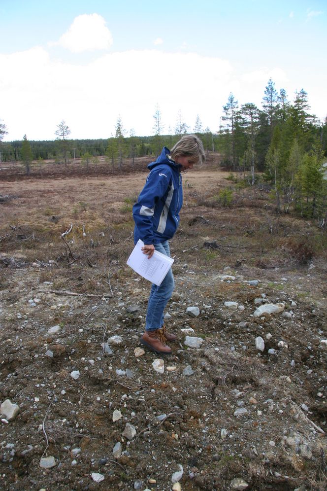 FORSVINNER: - Her blir det ingen evige sår, smiler prosjektleder Aske. Merkene etter den gamle kraftlinjen er allerede i ferd med å forsvinne.