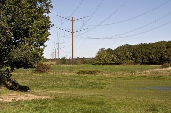 Ut på høring TOETASJERS ØRN: Den nye kraftlinjen på 400 kilovolt (kV) gjennom Jylland skal trolig bruke en nydesignet mast av typen Eagle.