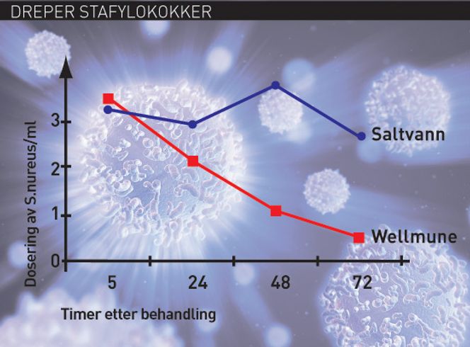DREPER STAFYLOKOKKER: I dette dyreforsøket ble forsøksdyrene injisert med en dødelig dose av det gram-positive patogenet Staphylococcus aureus (stafylokokker). Overlevelsen i kontrollgruppen var 0 %, mens 80-90 % av de Wellmune WGP-behandlede dyrene overlevde. (FOTO: Biothera/iStockphoto)