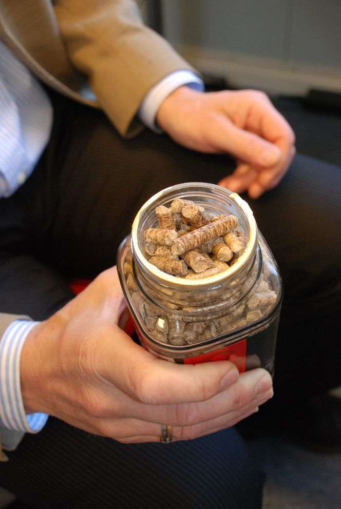 Brukes som kull ERSTATTER KULL: Med små justeringer kan pellets gå rett inn i produksjonen ved flere av Europas forurensede kullkraftverk.