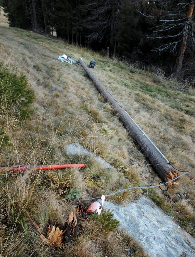 RØK RETT AV: Stolpen som gikk i bakken var ikke impregnert. I ettertid viste det seg at i alt fem stolper i anlegget var av samme kvalitet.