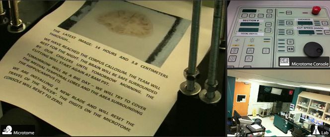 Skjæringen kan følges som direkte webcast.