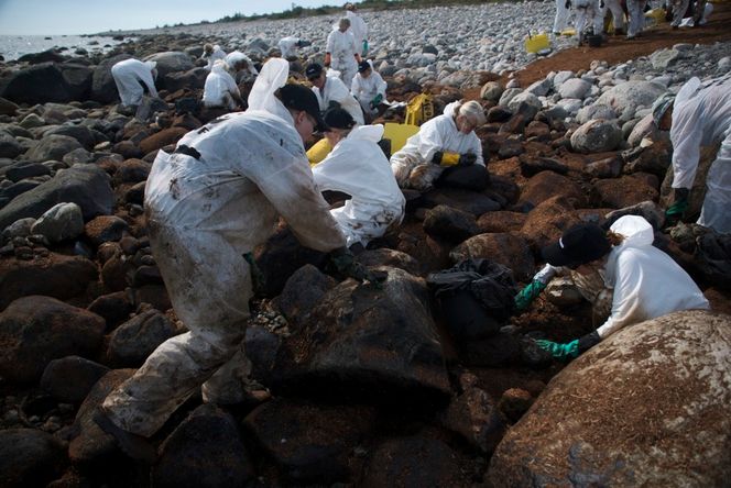 To alternativer MIKRO: Hva skjer med organismene på strender som blir oljeforurenset? Det blir nå blant temaene på et nytt masterkurs på NTNU.