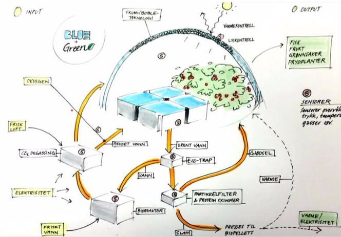 Urbanfeed-konseptet kan brukes på ulike måter. Slik ser selskapet for seg at konseptet kan levere kortreist mat i til et urbant nabolag. Foto: Urbanfeed