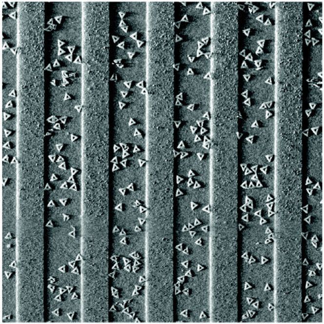 IBM-forskere bruker DNA-origami som stillaser for å bygge små kretskort. Bildet viser triangelformede DNA-nanostrukturer som er knyttet til brede linjer på en litografisk mønstret overflate.