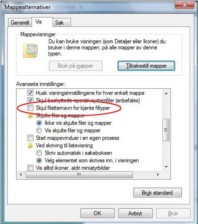 Du bør få Windows til å vise etternavnet til alle filer. Illustrasjonen viser hvordan det gjøres i Windows Vista, men det hele ser ganske likt ut også i andre Windows-utgaver.