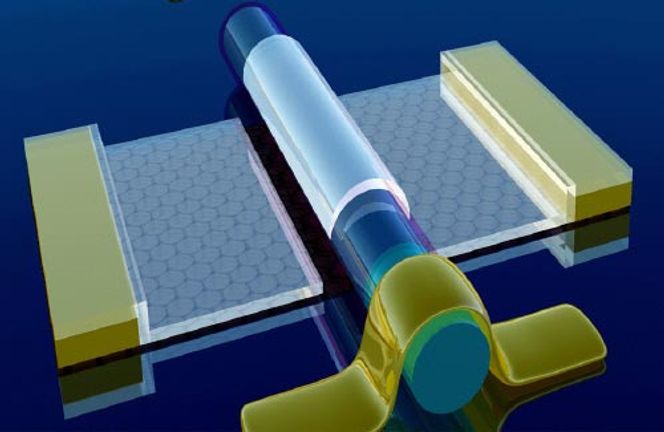 Grafen-basert transistor med nanotråd som port. Grafenmaterialet vises som et bikake-formet mønster. Nanorøret er en sylinderformede delen som ligger over grafenen. Bilde: California NanoSystems Institute ved UCLA