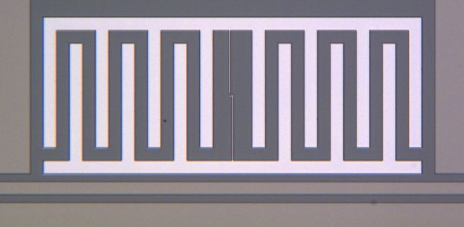 En todimensjonal qubit fra kretsen i det forrige bildet. Bilde: IBM