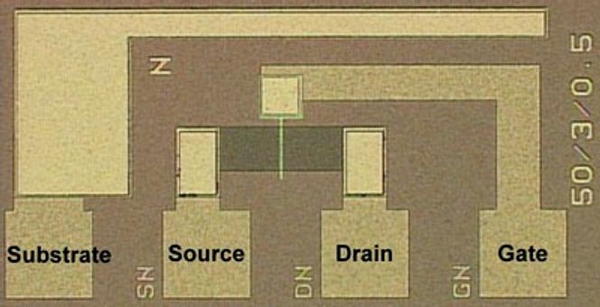 Optisk mikroskopisk bilde av FeFET for Fe-NAND flashminne. Portlengden og bredden er henholdsvis 3 og 50 µm.